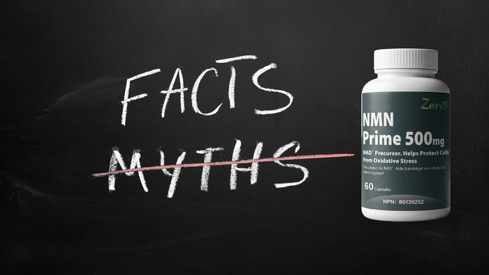 Common NMN Myths People Still Believe