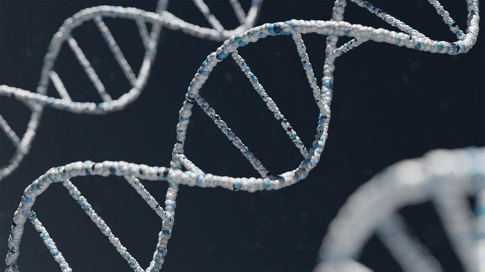 The Science Behind Rapid Aging and How NMN Can Help