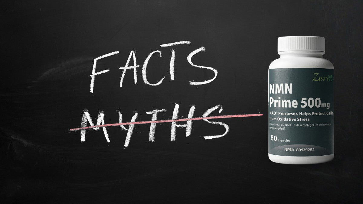 Common NMN Myths People Still Believe