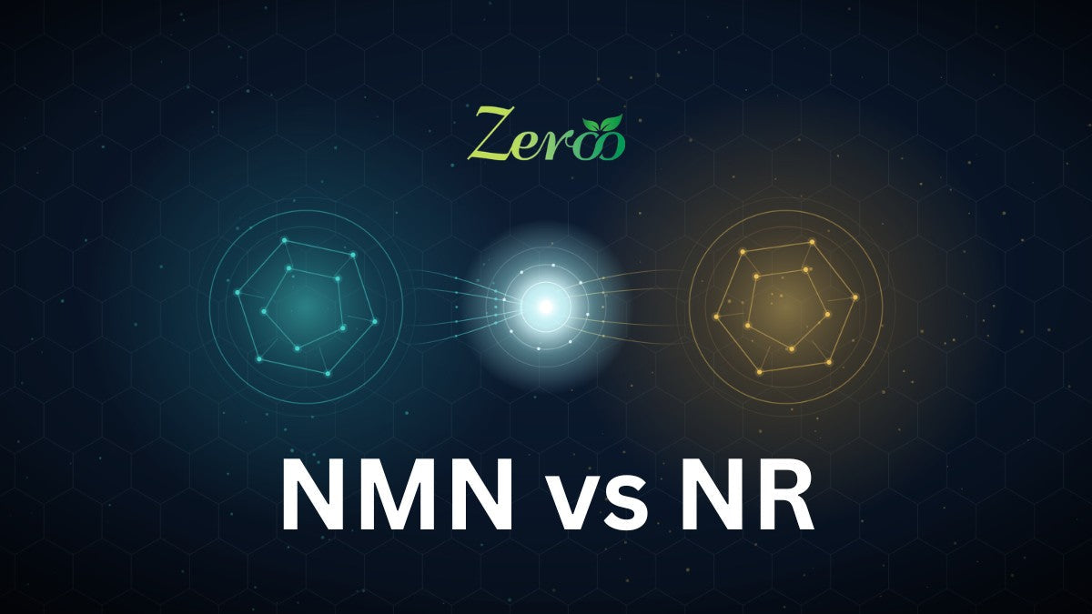 NMN vs NR: Which NAD+ Booster Is Better? (2026 Update)