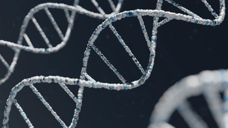 The Science Behind Rapid Aging and How NMN Can Help