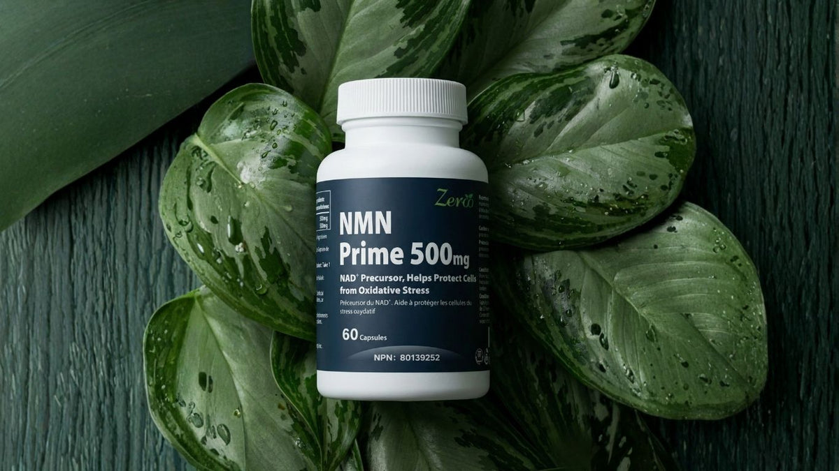 Zeroo Health NMN Supplement NAD+ Levels