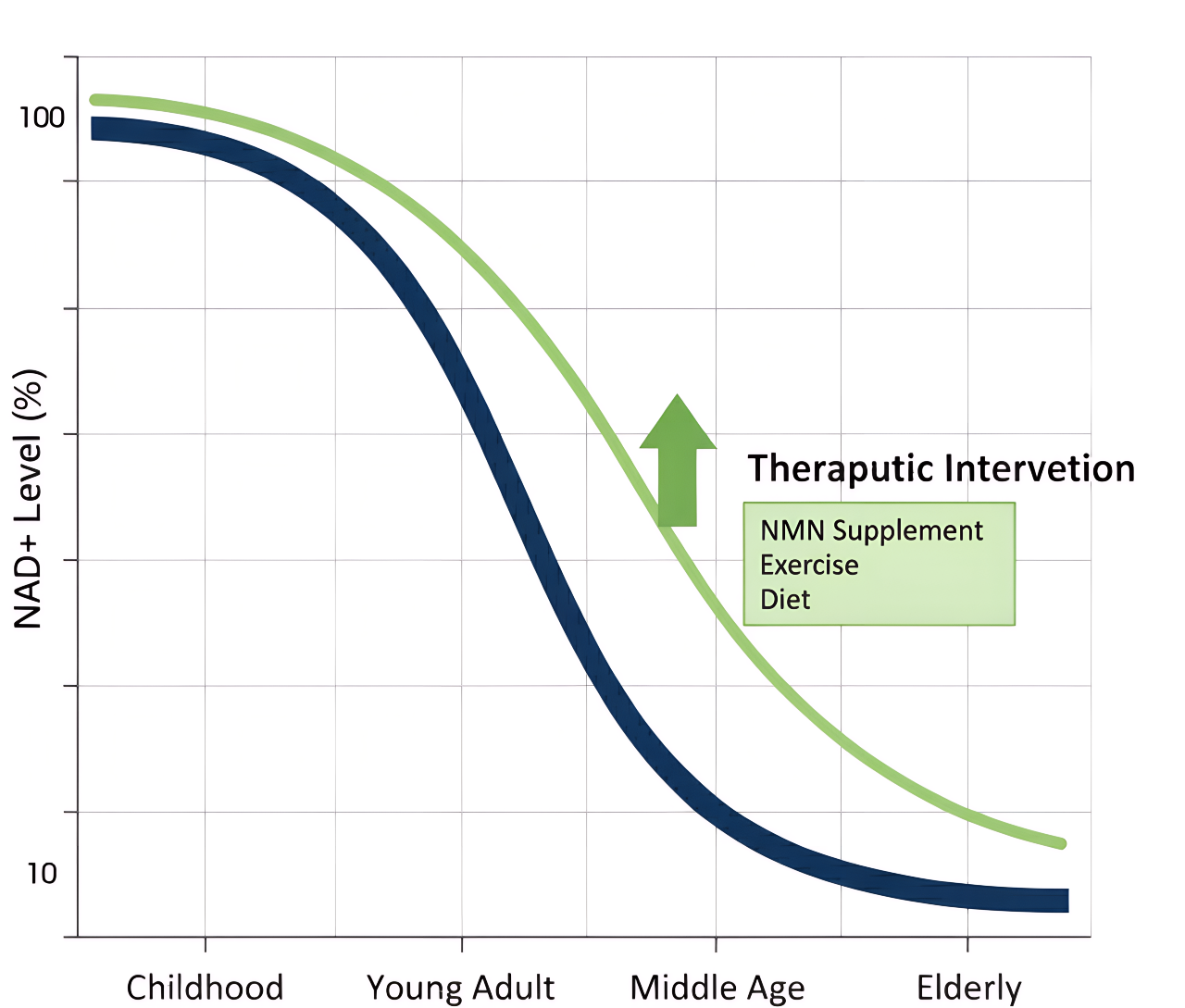 Graph showing age-related NAD+ decrease and therapeutic interventions